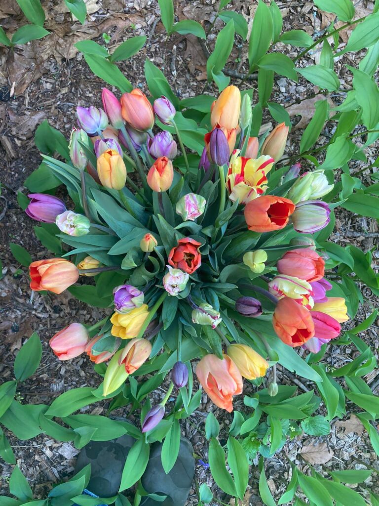 DIY wedding flowers NH